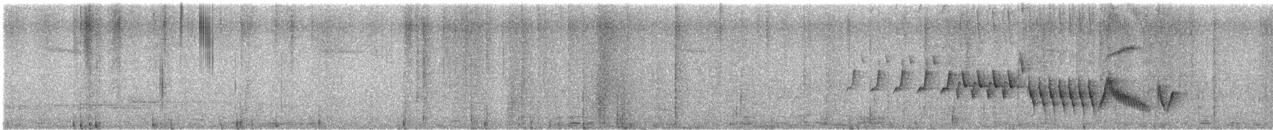 Madeira Chaffinch - ML624650158