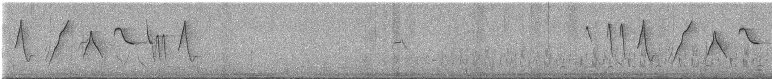 コバシマユシトド - ML624650230