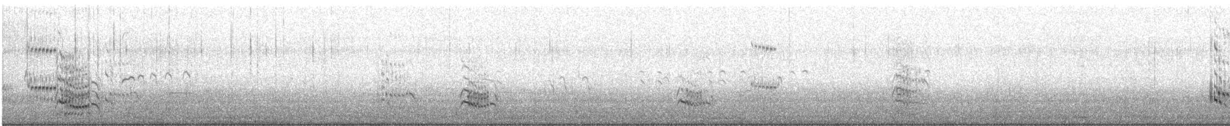 Royal Tern - ML624657416