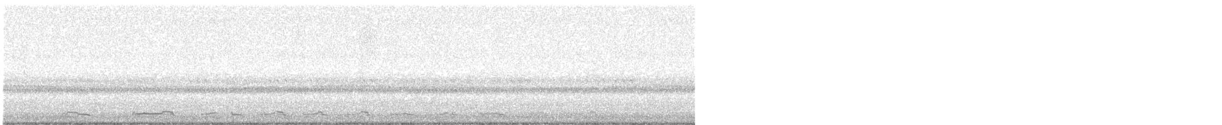 Larus sp. - ML624661508