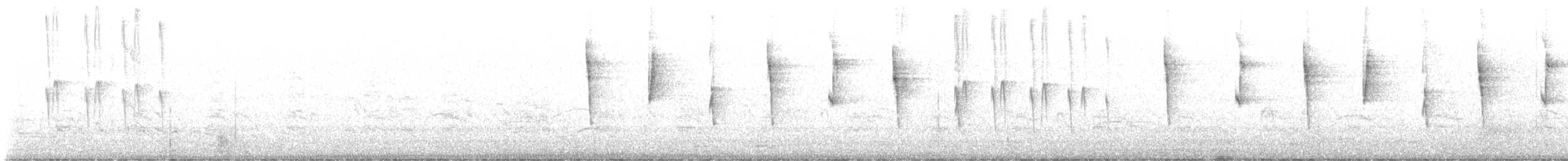 hvitissetyrannulett (subcristata/straminea) - ML624665820