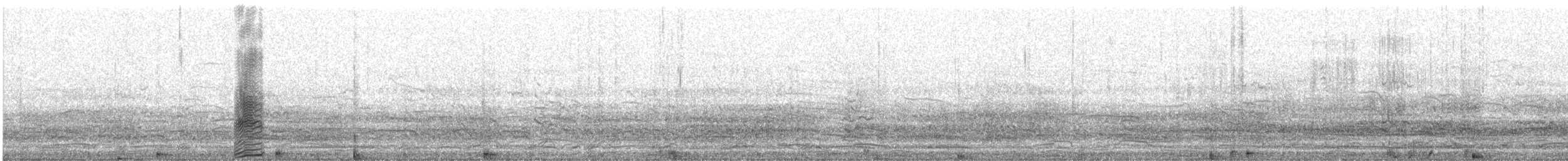 Short-tailed Shearwater - ML624667107