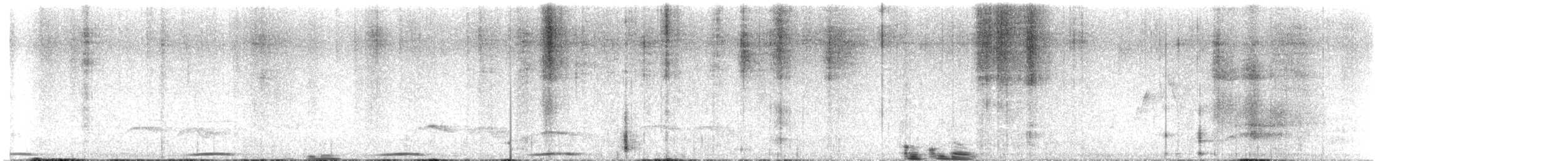 Phasianelle onchall - ML624671313