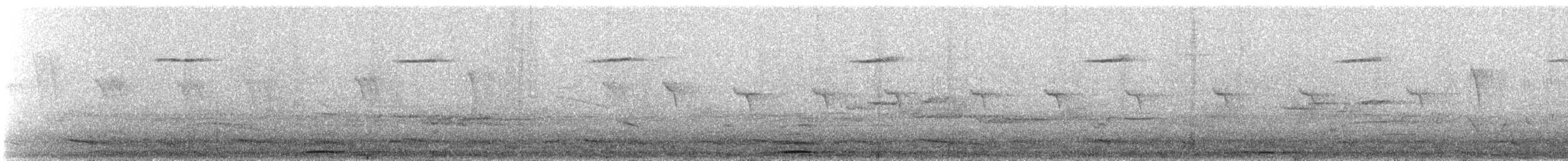 Phasianelle onchall - ML624671409