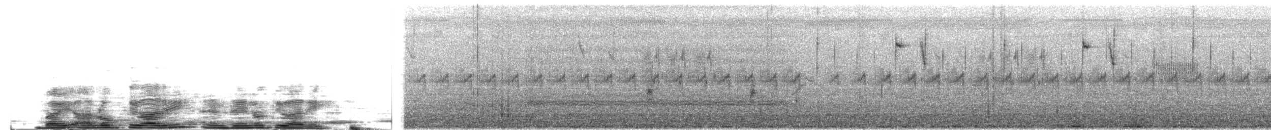 Black-breasted Weaver - ML624673973