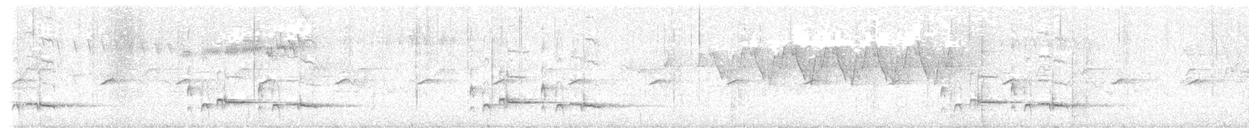 Collared Grosbeak - ML624679736