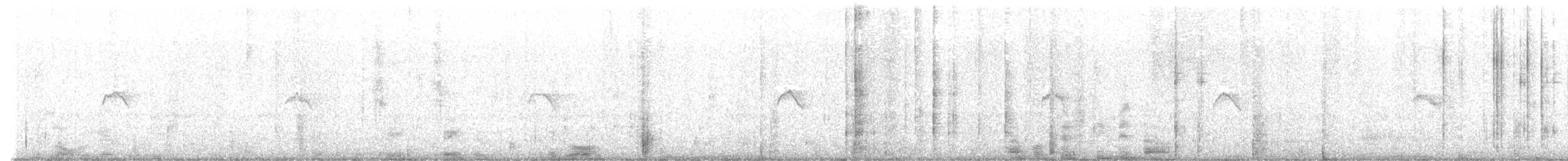 チフチャフ（tristis） - ML624685282