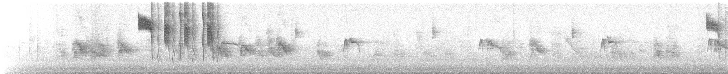 アレンハチドリ - ML624687458