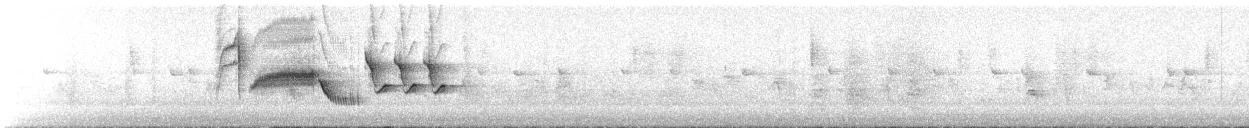 シロハラミソサザイ - ML624687481