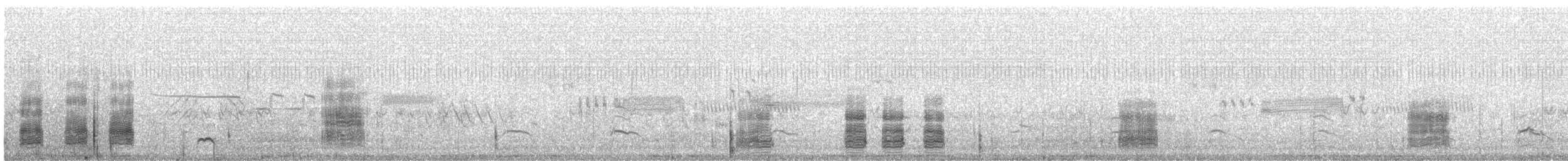 Northern Pintail - ML624692145