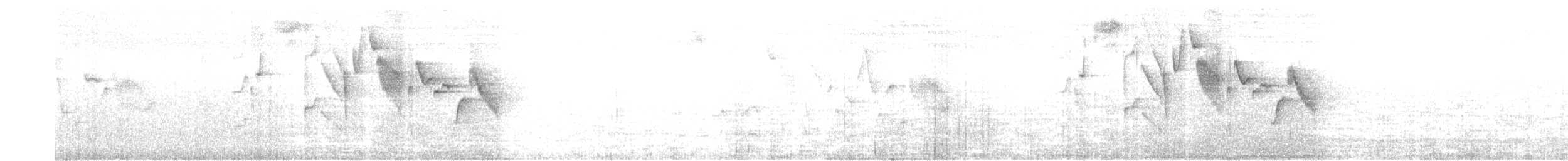 Mountain Wren - ML624693032