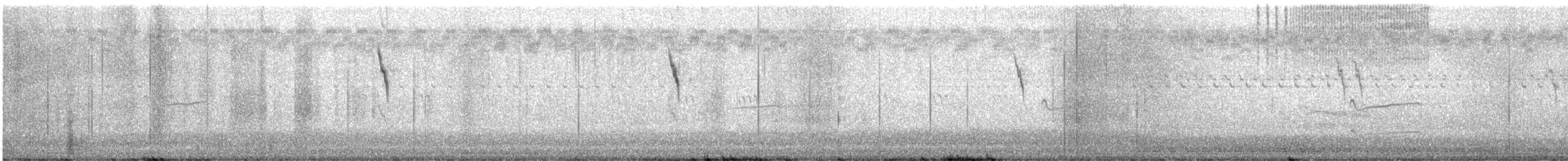 Pipit d'Amérique - ML624697916