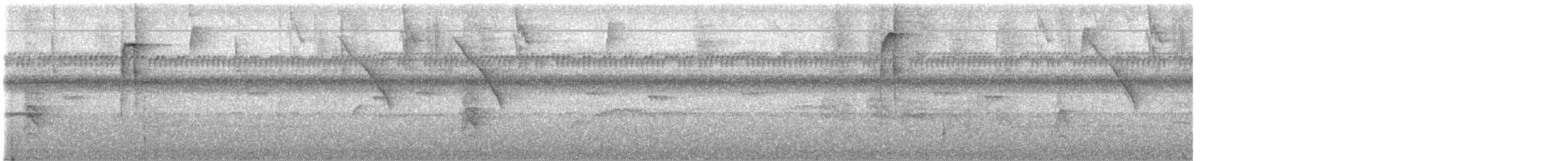 Checker-throated Stipplethroat - ML624702252