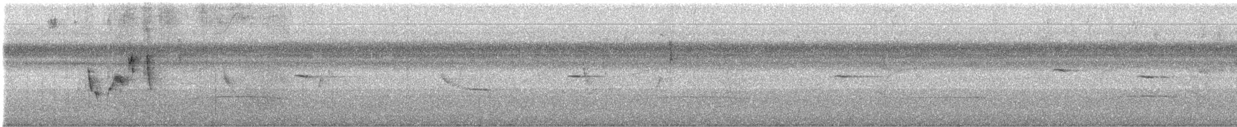 White-vented Euphonia - ML624702744