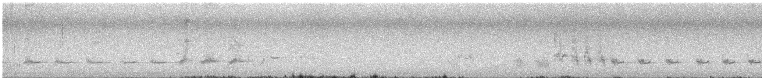 ノドグロハチマキミツスイ - ML624713274