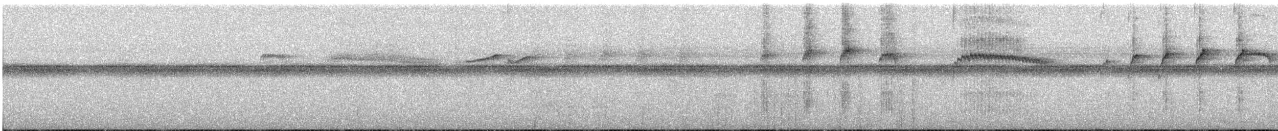 クロスジオオガシラ - ML624722545