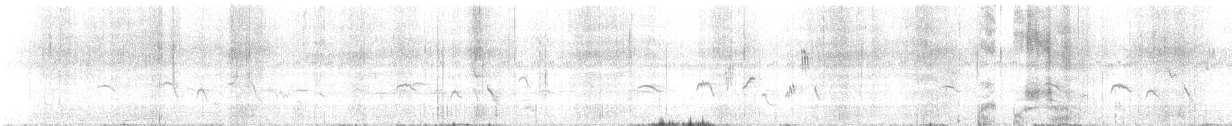 Pied Bushchat - ML624723136