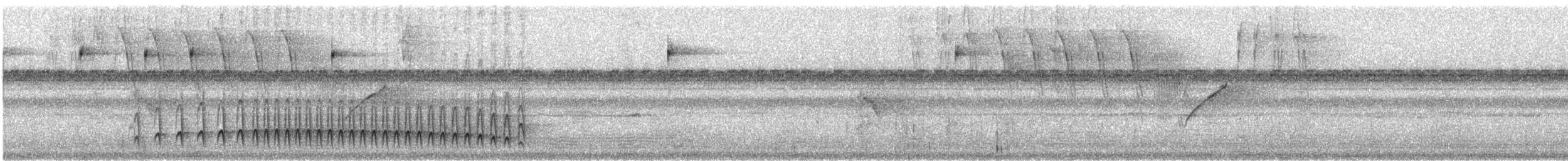 Bahia Antwren - ML624733697