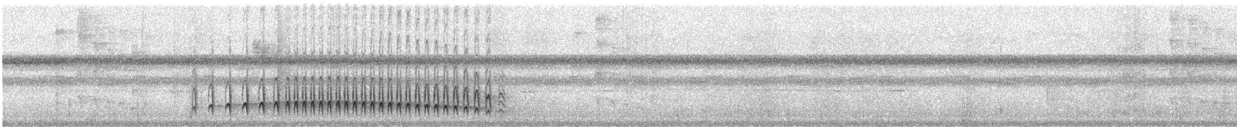 Bahia Antwren - ML624733724