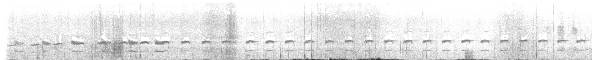 Ancash Tapaculo - ML624733782