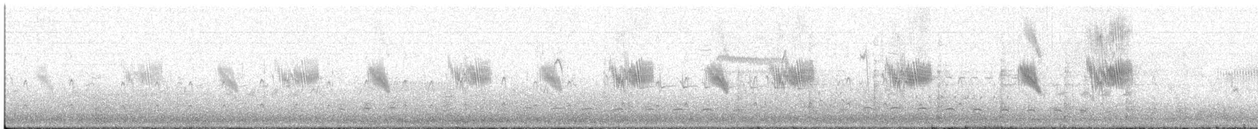Chilean Swallow - ML624734654