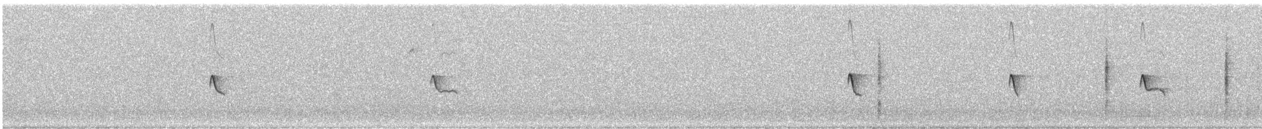 Чёрный фиби - ML624745013