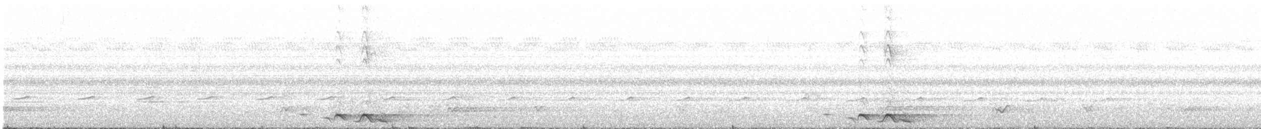 Seram Oriole - ML624746797