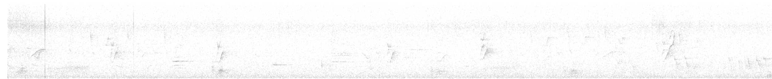 Kalij Pheasant - ML624758947