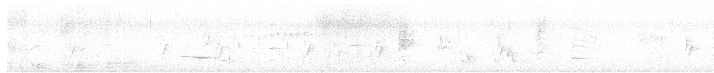 Kalij Pheasant - ML624759015