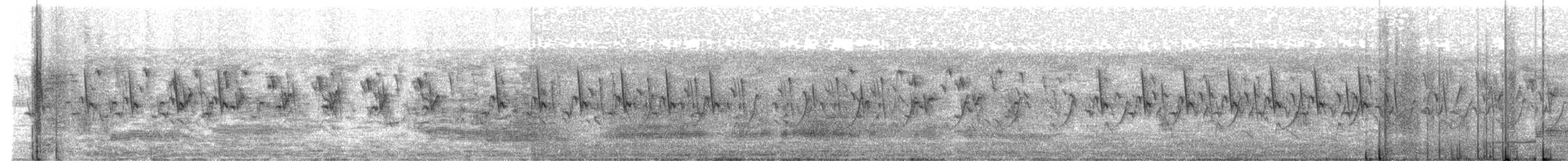 נחשון אסייתי - ML624759668