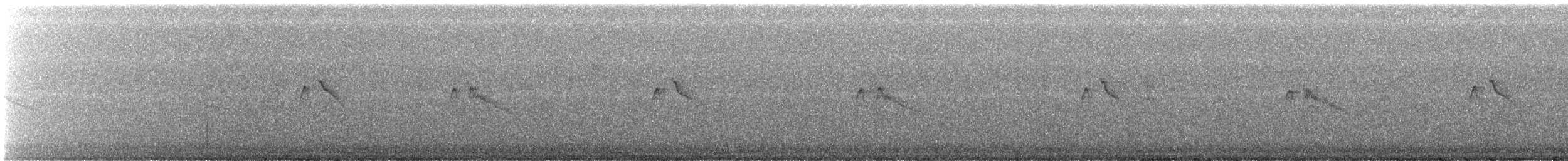 Black Phoebe (Northern) - ML624774243