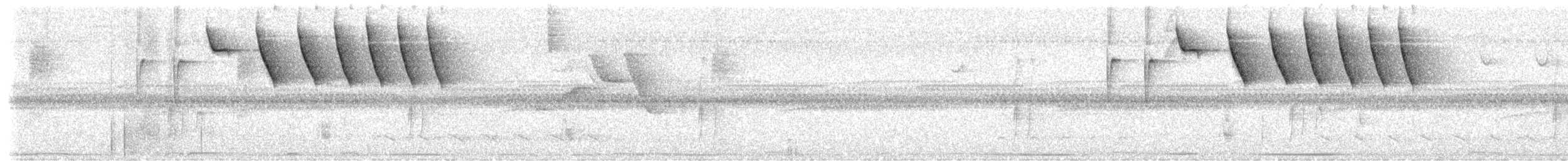 Saffron-billed Sparrow (Gray-backed) - ML624778508