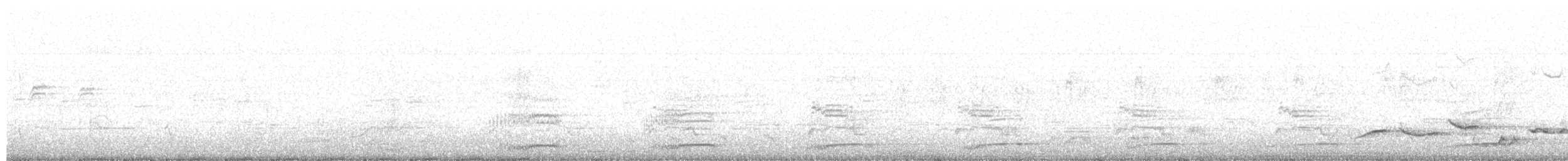 Channel-billed Cuckoo - ML624779074