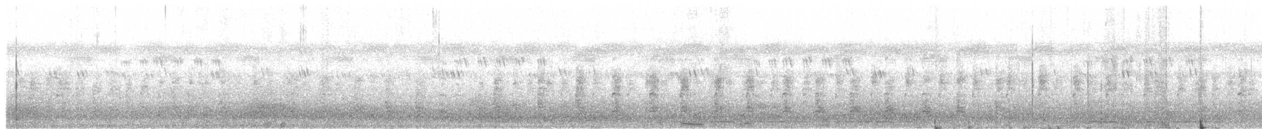 Helmeted Guineafowl - ML624788025