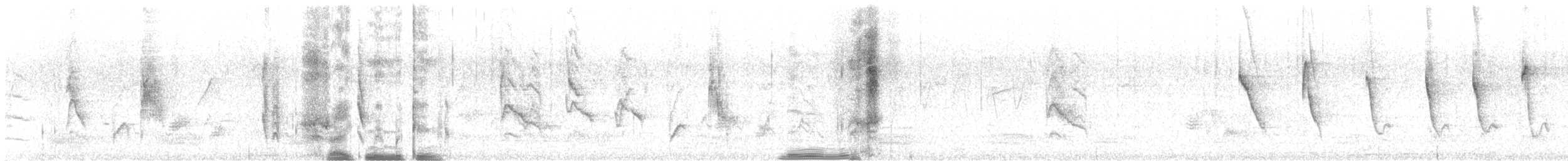 Long-tailed Shrike - ML624795098