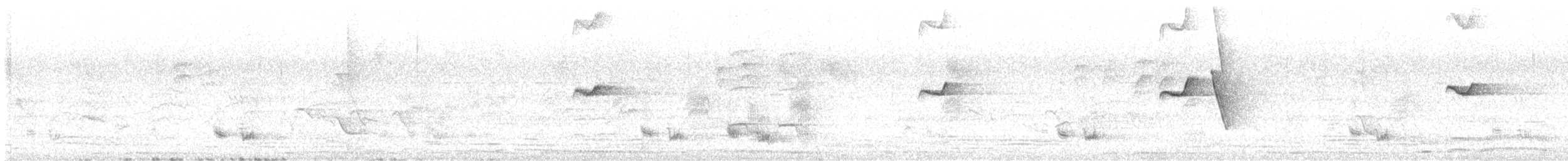 Oriental Magpie-Robin - ML624795161