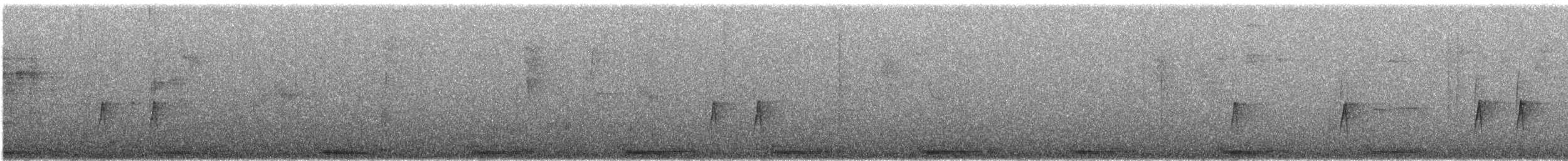 フイリコチュウハシ - ML624796067