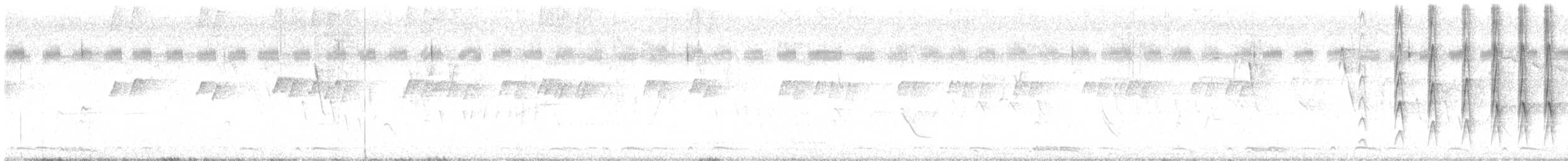 Plain Thornbird - ML624804283