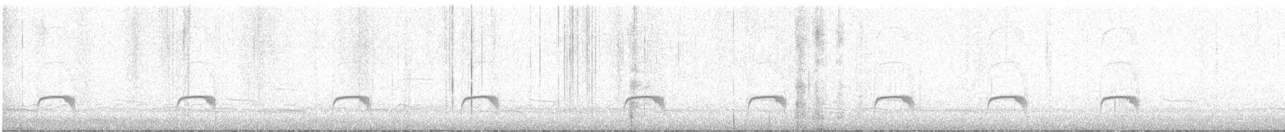 Tschudi's Nightjar - ML624807975