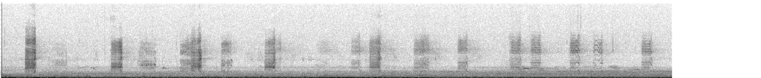 Wilson's Snipe - ML624809824