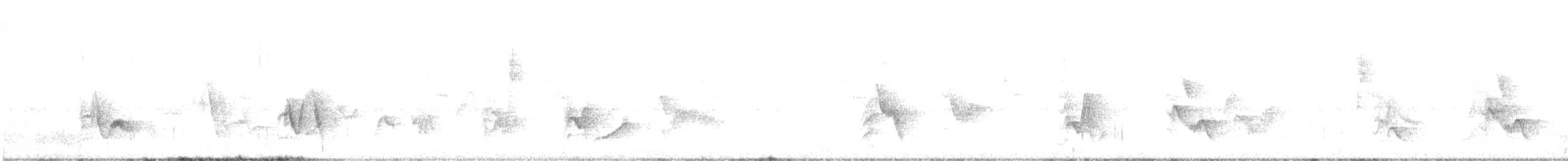 Cassin's Vireo - ML624816032