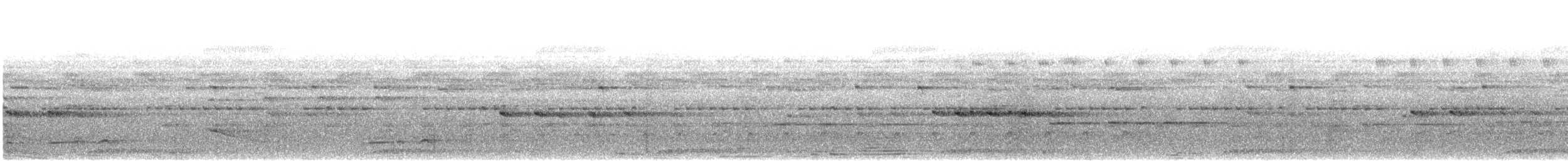 Spotted Puffbird - ML624817080