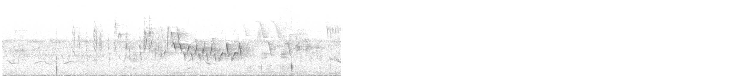 Northern House Wren - ML624817229