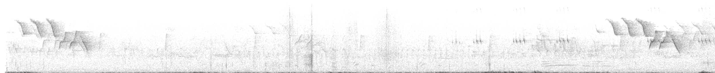 Yellow Warbler (Northern) - ML624817232
