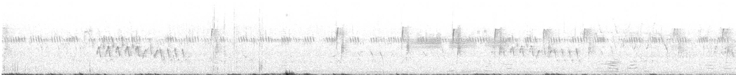 Least Flycatcher - ML624817241