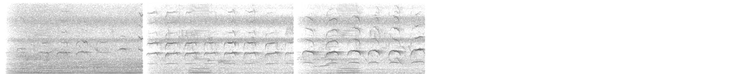 Faucon chicquera - ML624829472