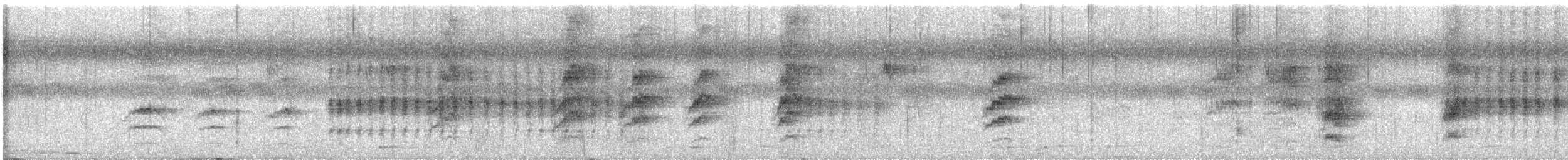 Brown Shrike - ML624829553