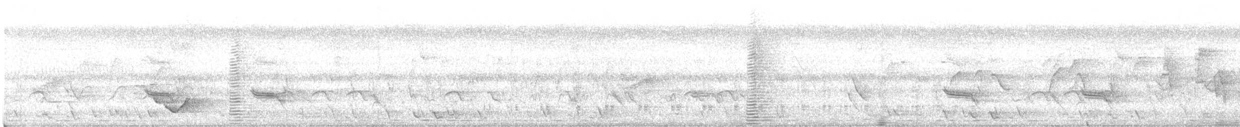 Straw-necked Ibis - ML624844443