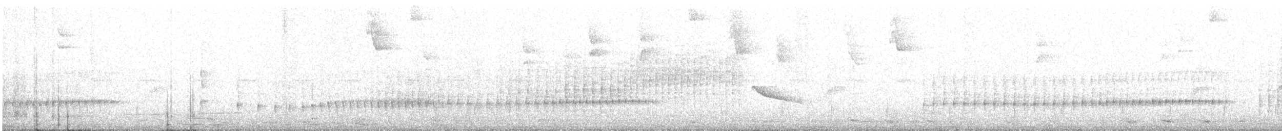 Long-billed Gnatwren - ML624846591