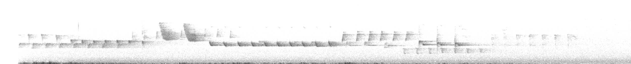 South Island Robin - ML624849984